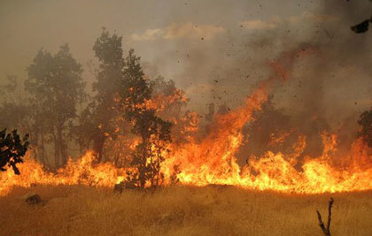 آتش سوزی مراتع