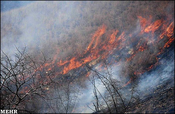 آتش سوزی در جنگل های ارسباران