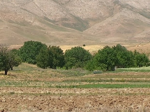 روستای ده حاجی- ازنا