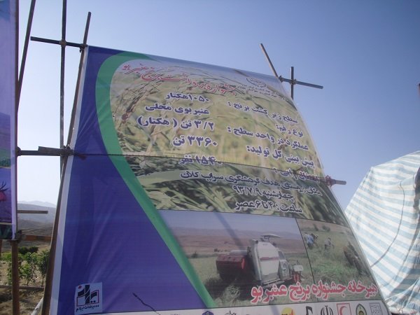 ایلام