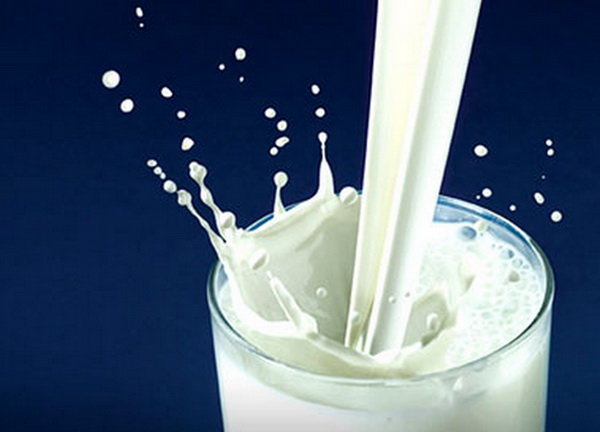 پروتئین شیر عامل محافظت در مقابل بیماری های قلبی