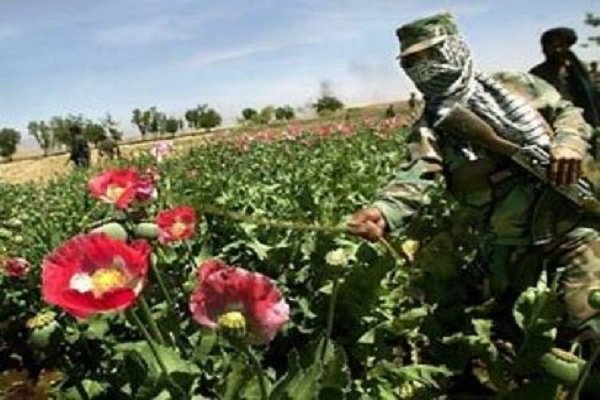 یک فرمانده ارتش افغانستان به جرم قاچاق مواد مخدر بازداشت شد