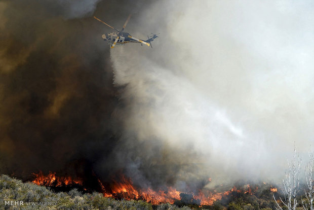 فصل آتش سوزی های جنگلی در غرب آمریکا