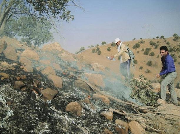 آتش سوزی جنگلهای پلدختر