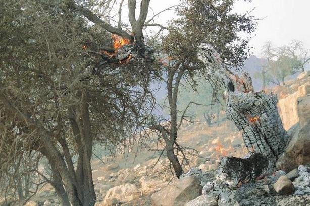 کراپ‌شده - آتش سوزی جنگلهای پلدختر