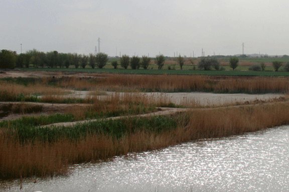 توریستی شهر ری توریستی تهران تالاب عشق آباد اخبار شهر ری Eshghabad wetland