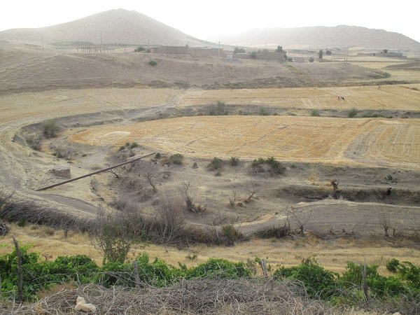 خشکی تاکستان - کوهدشت