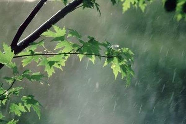 بارش باران در ۱۱ استان کشور/ کاهش دمای پایتخت