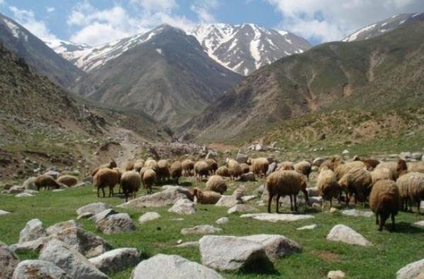 آسفالت مسیر دسترسی روستای اردها سراب