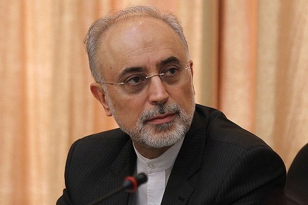 علی اکبر صالحی، رئیس سازمان انرژی اتمی