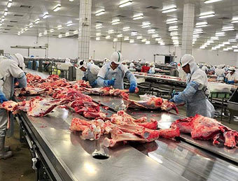 موافقت دولت با واردات گوشت قرمز از روسیه