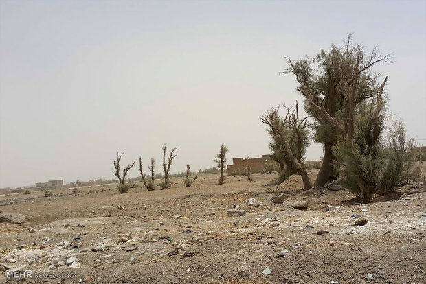 خشکسالی و شنهای روان در سیستان