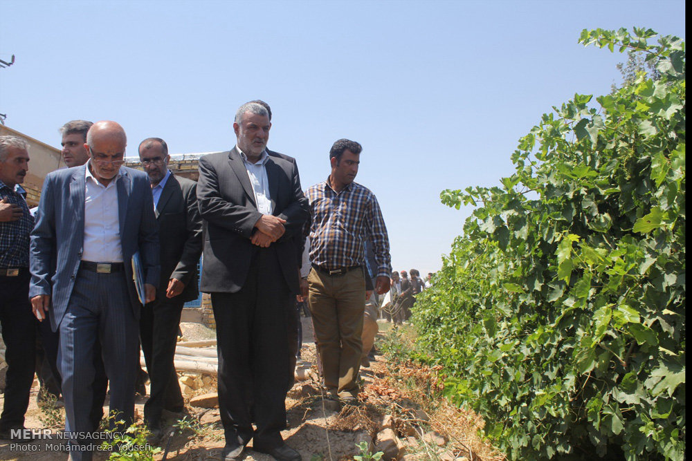 سفر وزیر جهاد کشاورزی به استان قزوین