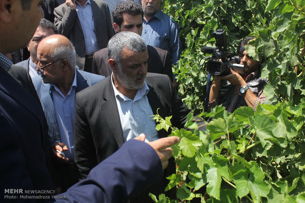 سفر وزیر جهاد کشاورزی به استان قزوین