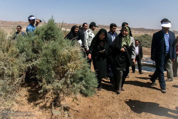 سفر رئیس سازمان محیط زیست به خارتوران شهرستان شاهرود