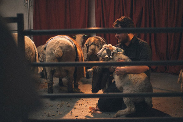 نمایش شاه لیر با گوسفندها