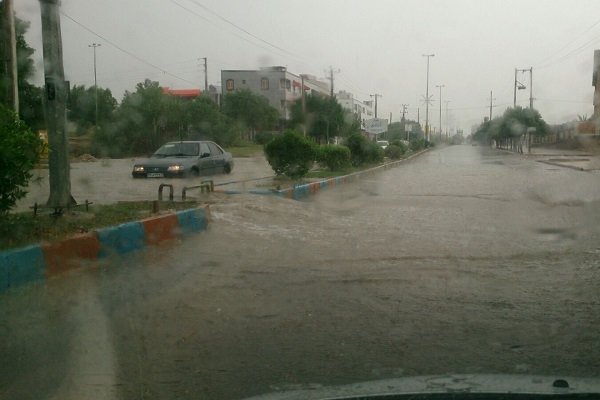 باران و تگرگ تابستانی مردم استان بوشهر را غافلگیر کرد