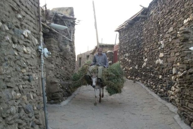 کراپشده - روستای ورکانه