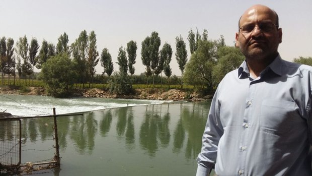 مسعود اسدی کشت برنج در اصفهان