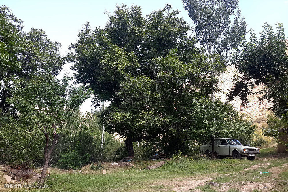 http://media.mehrnews.com/d/2015/09/06/4/1821715.jpg