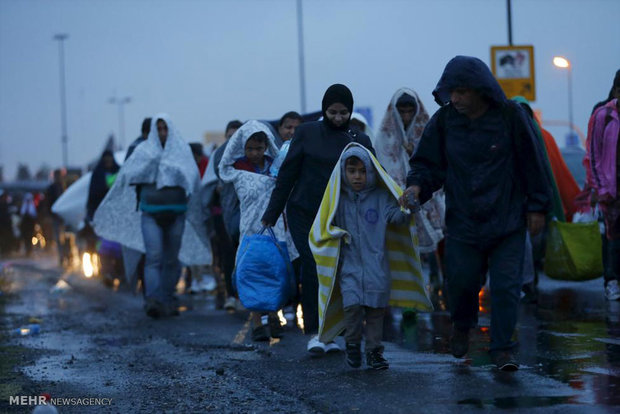 سوئد تدابیر مرزی را برای کنترل سیل مهاجرت افزایش داد