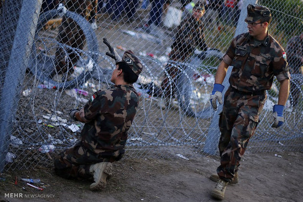 ادامه بازداشت آوارگان در مجارستان/ ۹ هزار و ۳۸۰ نفر آخرین آمار
