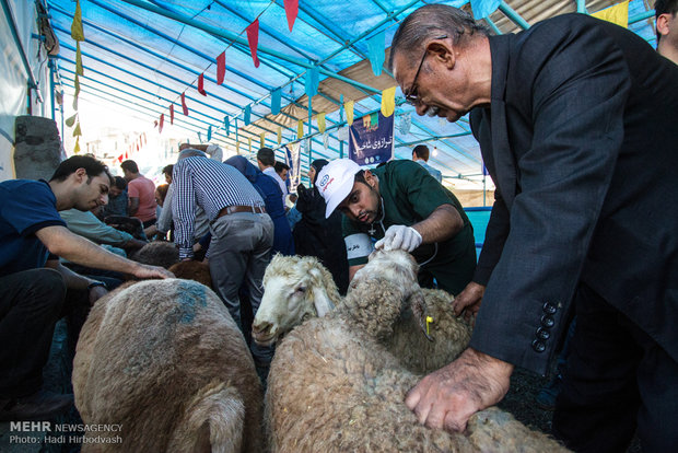 بازار فروش و ذبح دام در عید قربان
