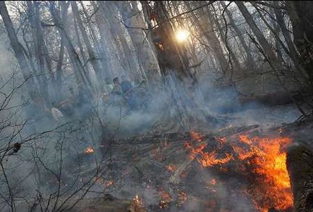 آتش‌سوزی جنگل‌های پلدختر مهار شد/ سرایت حریق به مراتع «رومشگان»