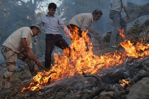 ۲۰ هکتار از اراضی کوه خامی همچنان در آتش می سوزد 3