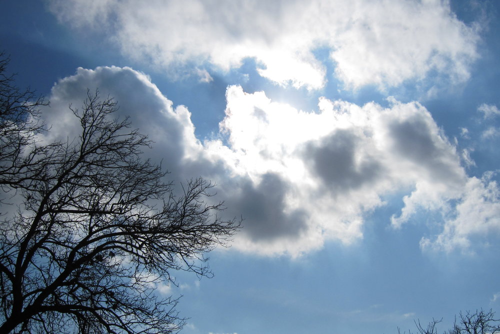 تصویر مرتبط