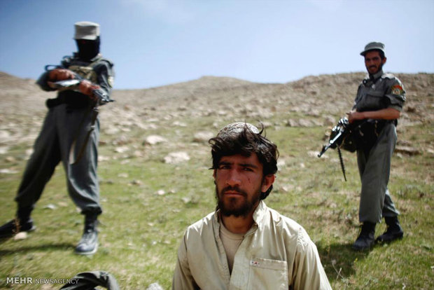 دستگیری ۶ تروریست پیش از موفقیت/۷۶۰ کشته طالبان در طول ۲ ماه