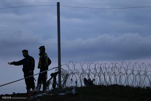 وزیر کشور اتریش:در مرز با اسلونی سیم خاردار می کشیم