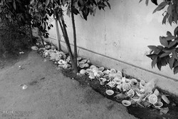 زباله های ظروف یکبار مصرف در سطح شهر