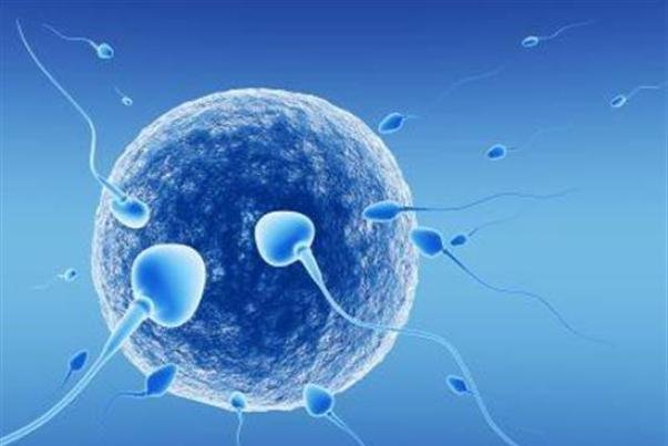 مرکز ناباروری زنان در لرستان راهاندازی میشود ناباروری