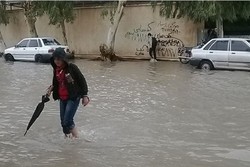 بارندگی بوشهر