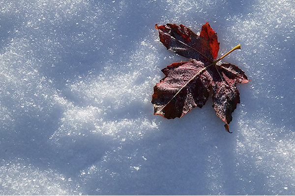 بارشها در استان زنجان افزایش داشته است هواشناسی، سرما، برف