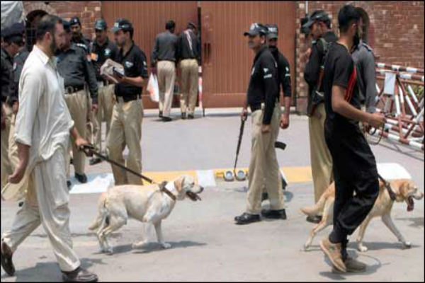 پلیس پنجاب