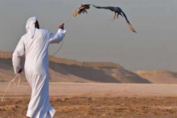 ربوده شدن ۱۶ صیاد قطری در صحرای نجف توسط افراد مسلح