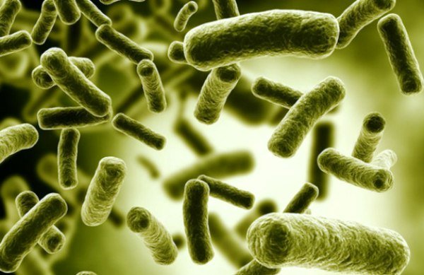 شیوه جدید مقابله با عفونت های مقاوم به آنتی بیوتیک