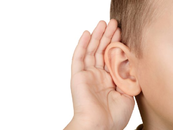 شنوایی شناسی