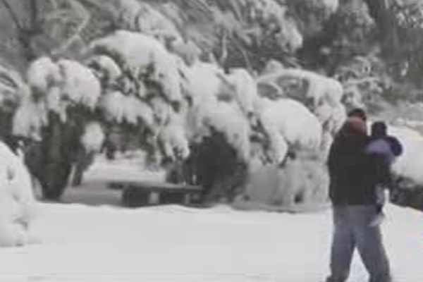 فیلم/برف سنگین در شمال مکزیک