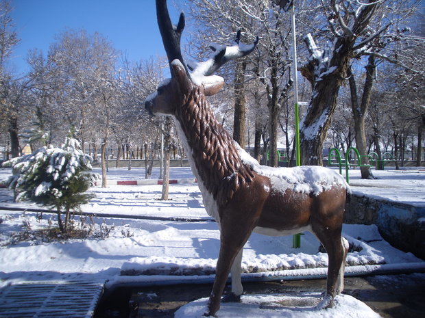 زیبایی زمستانی پارک جنگلی «سرچشمه»/ مناظر بدیع درسفیدی برف