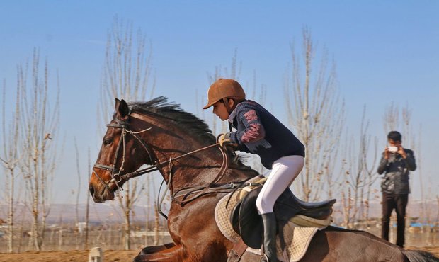 درخشش سوارکاران همدانی در مسابقات پرش با اسب اصیل ترکمن