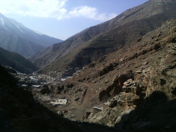 روستای زردویی