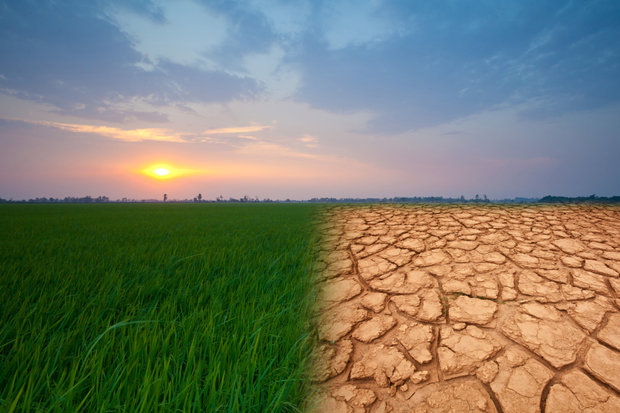 تاثیر تغییرات اقلیمی بر کاهش تولید محصولات کشاورزی