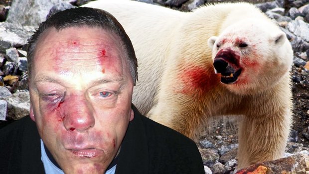 گاو بازی شکار تمساح خوش شانس خرس قطبی حوادث واقعی