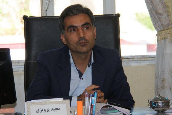 مجید پرویزی مدیر تعاون اداره کل تعاون، کار و رفاه اجتماعی استان بوشهر 