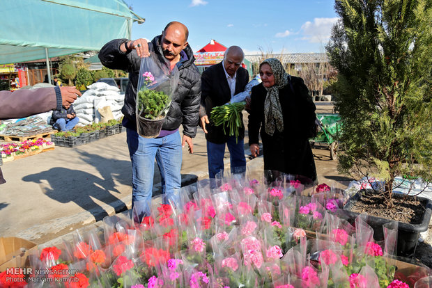 بهار را در زمستان تهران تجربه کنید!