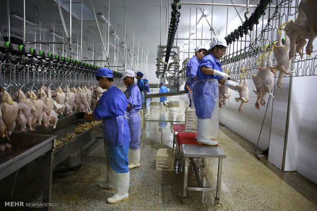 کارخانجات تولید مواد غذایی در چین‎