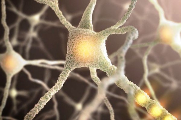 پیوند نورونهای عصبی با فناوری لیزری